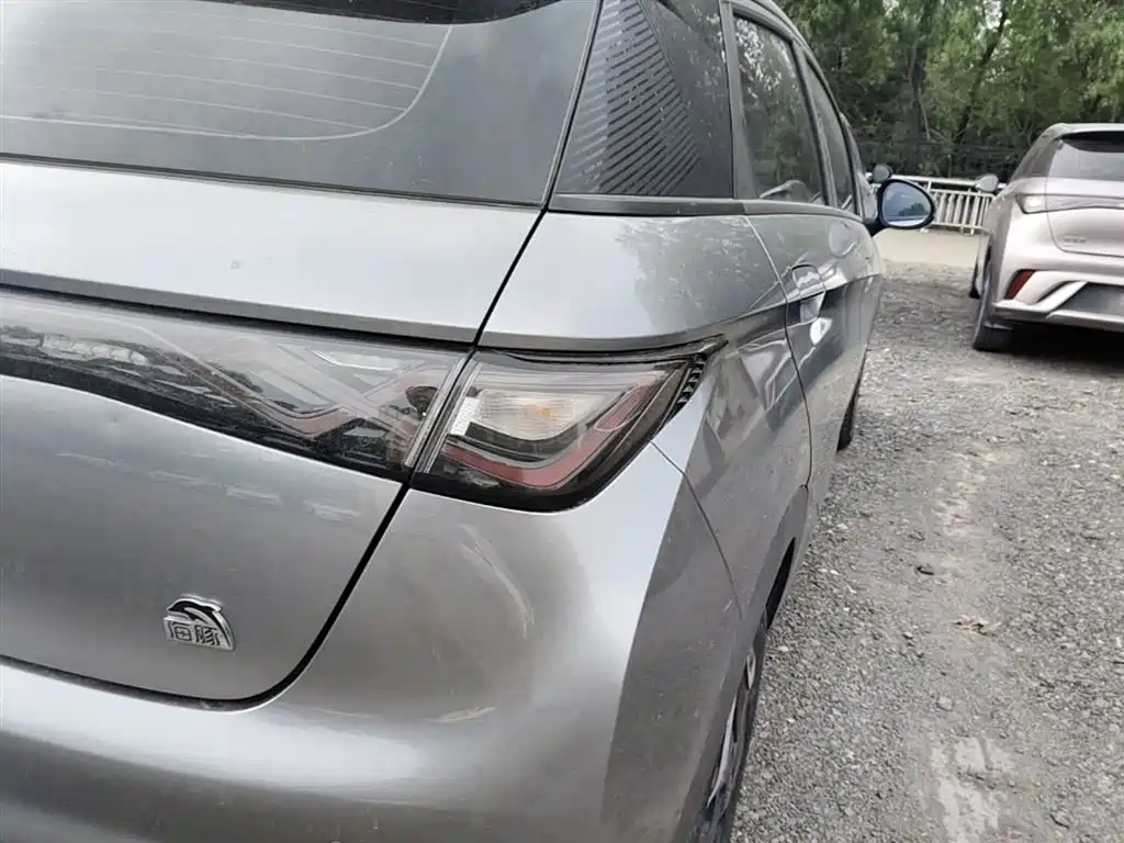 BYD Dolphin 2021 Model 405km Fashion Edition фото 8