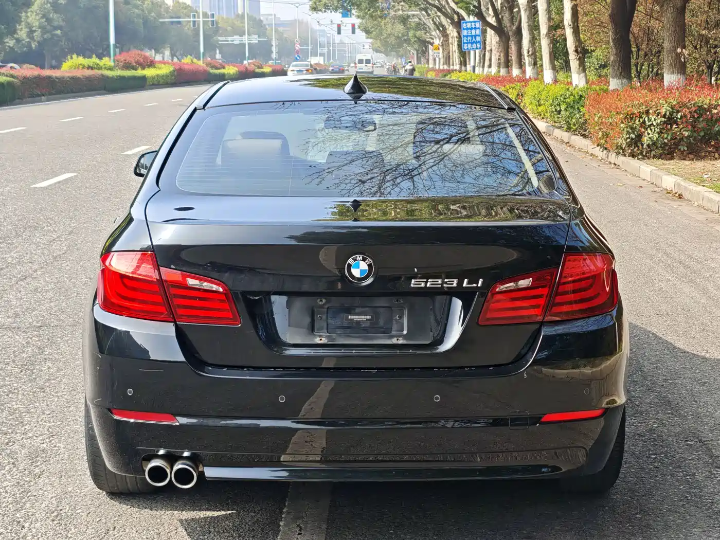 BMW 5 Series 2012 523Li Luxury фото 18