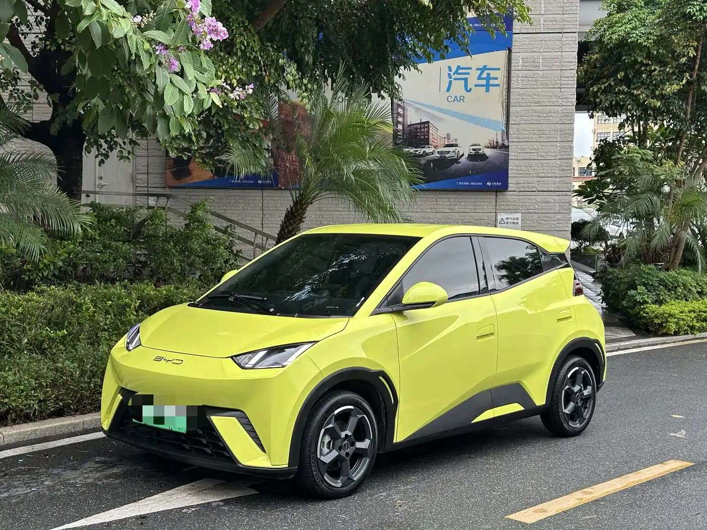 BYD Seagull 2024