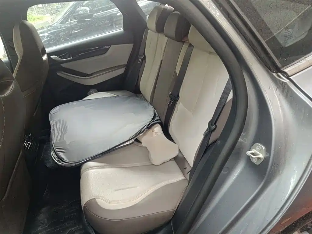 BYD Qin PLUS 2023 Champion Edition DM-i 55KM Leading фото 18