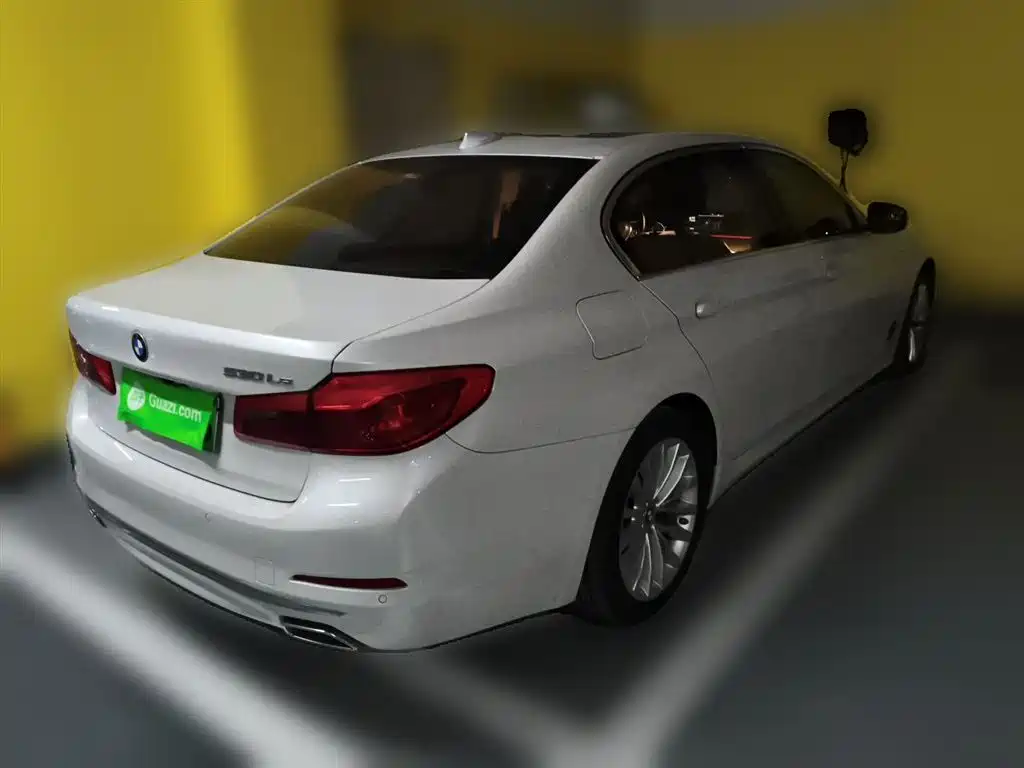 BMW 5 Series New Energy 2020 530Le Range Upgrade Luxury Package фото 6