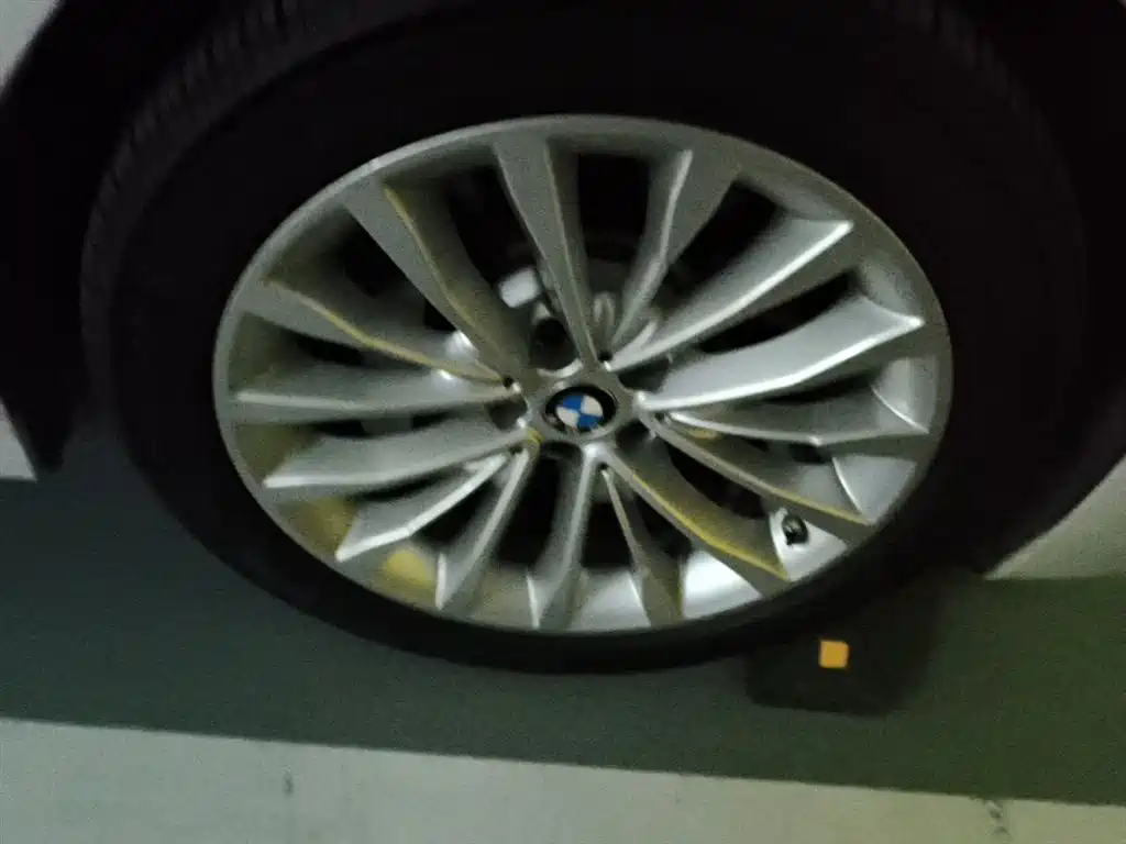 BMW 5 Series New Energy 2020 530Le Range Upgrade Luxury Package фото 8