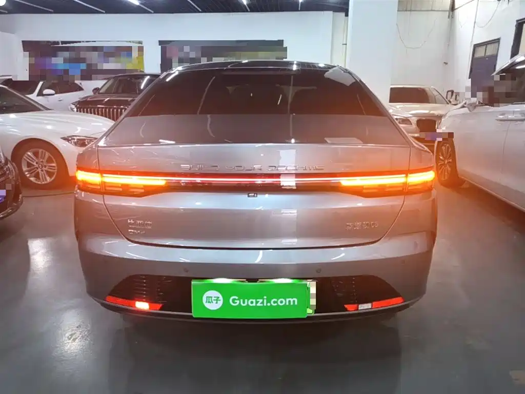 BYD Destroyer 05 2024 Glory Edition DM-i 55KM Luxury фото 6
