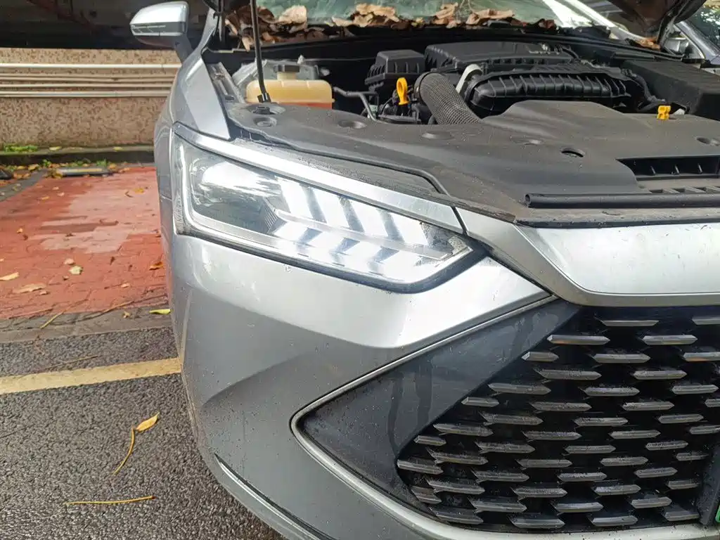 BYD Qin PLUS 2023 Champion Edition DM-i 55KM Leading фото 7