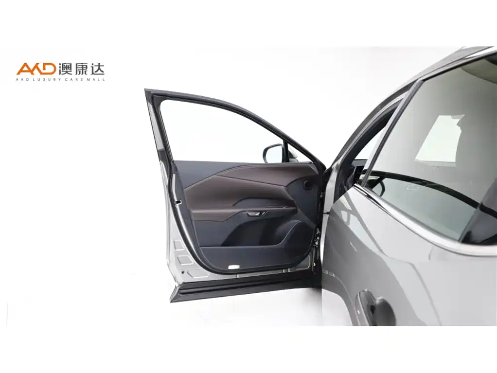 Lexus RX New Energy 2023 450h+ 4WD Enjoyment фото 10