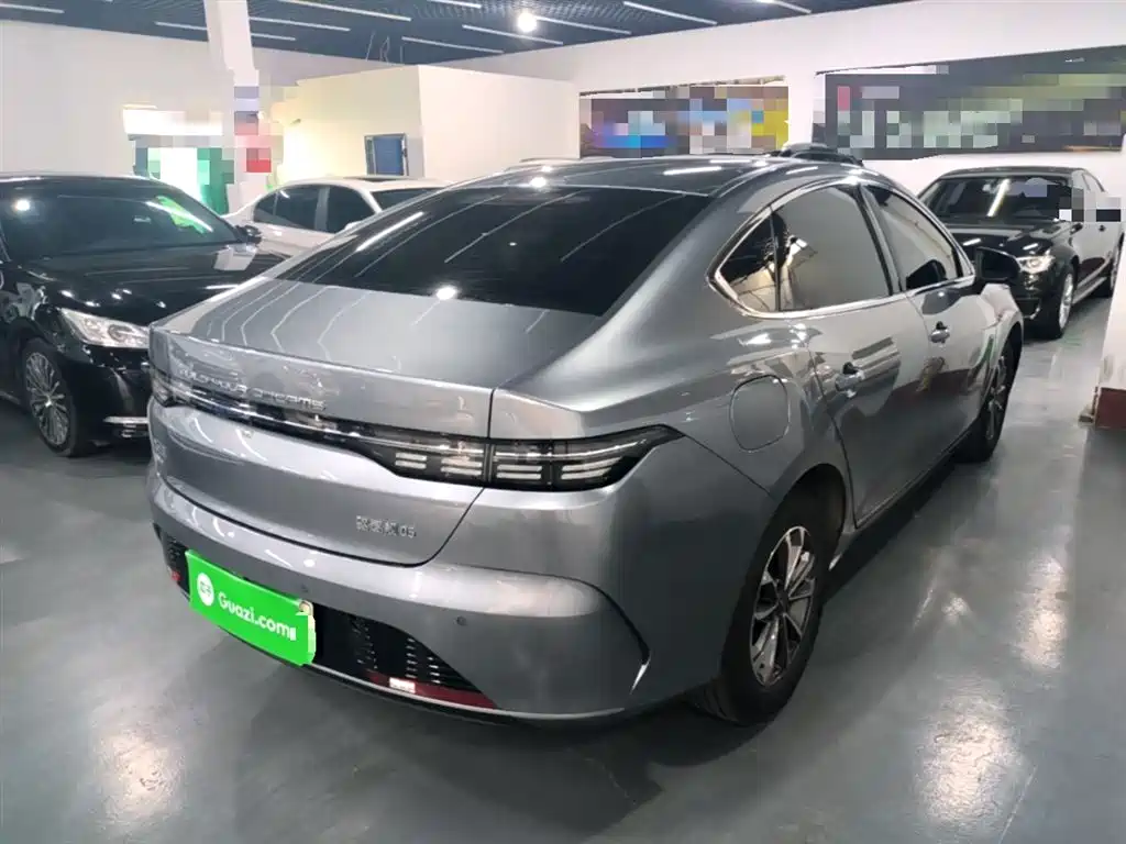 BYD Destroyer 05 2024 Glory Edition DM-i 55KM Luxury фото 7