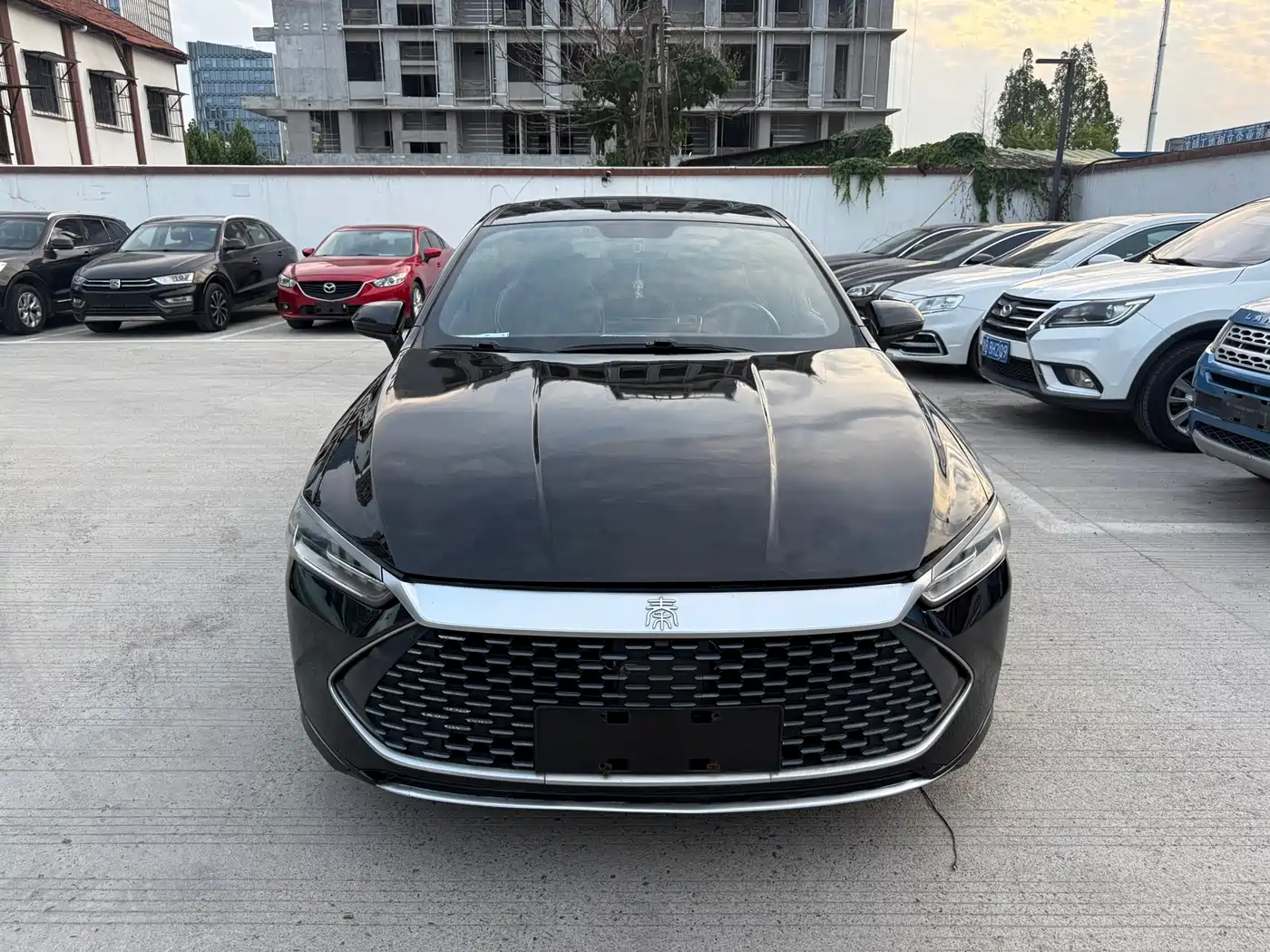 BYD Qin PLUS 2021 DM-i 55KM Premium фото 3