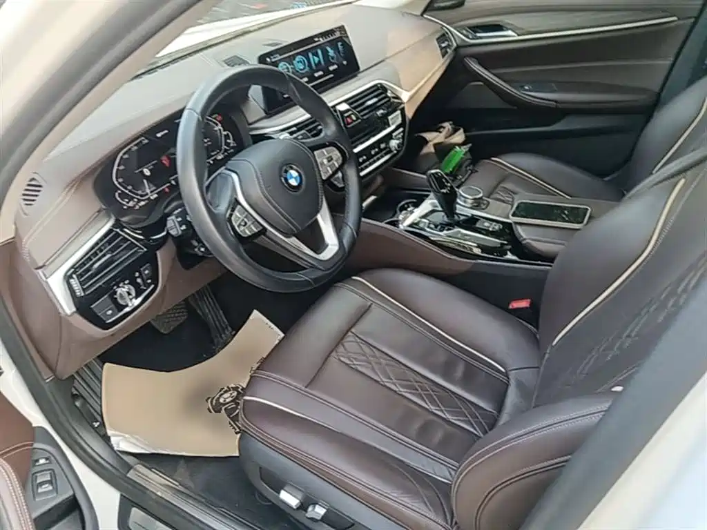 BMW 5 Series New Energy 2020 530Le Luxury Package фото 15