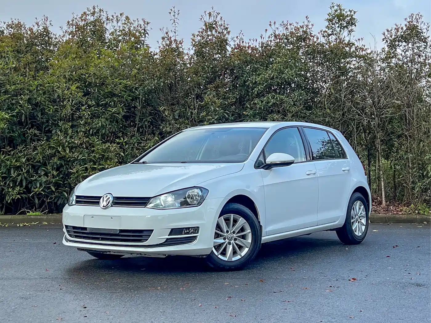 Volkswagen Golf 2016 1.6L Automatic Fashion