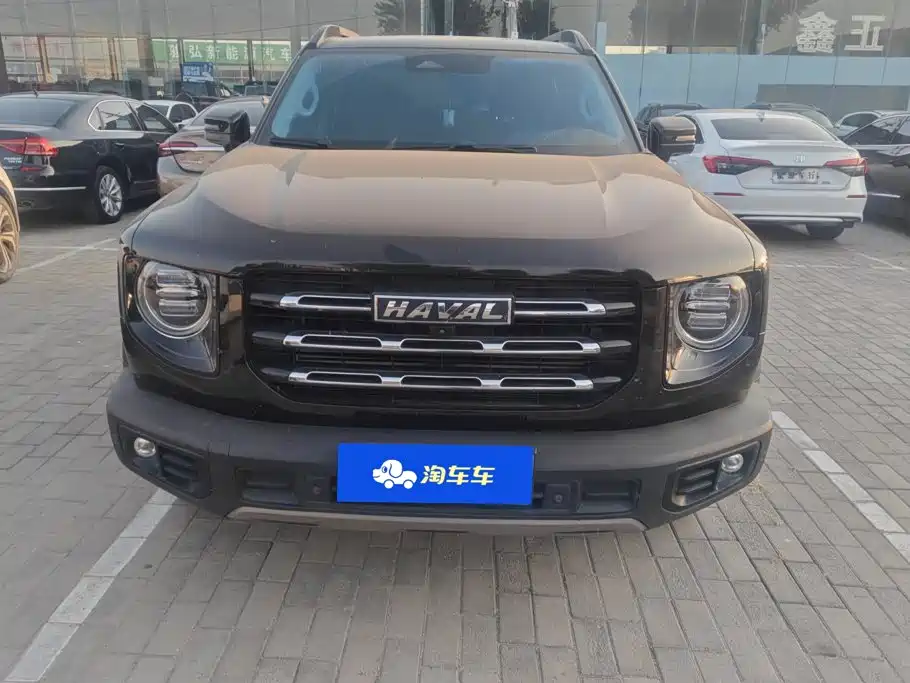 Фото 2 - Haval Dargo