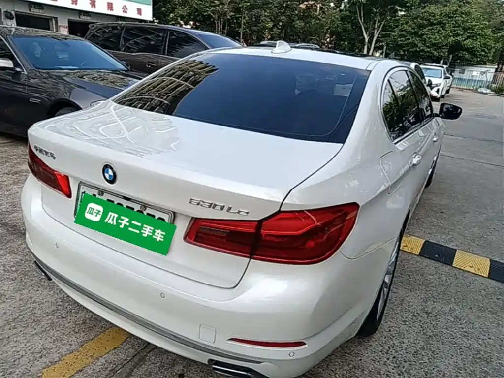 BMW 5 Series New Energy 2020 530Le Luxury Package фото 7