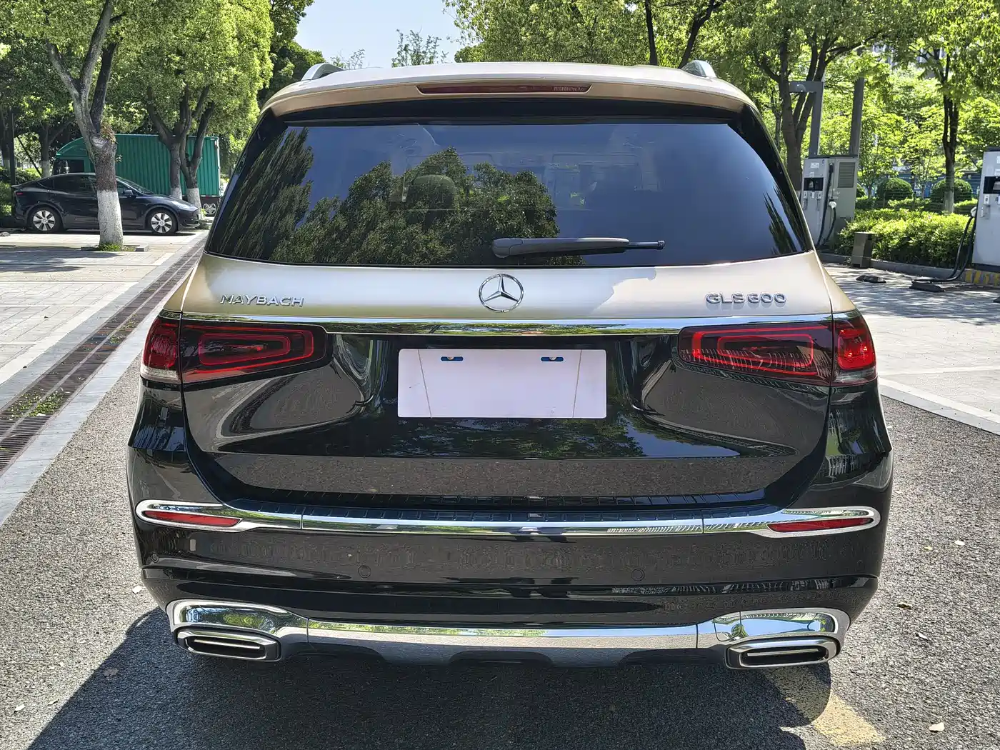 Mercedes-Benz Maybach GLS 2021 GLS 480 4MATIC фото 9