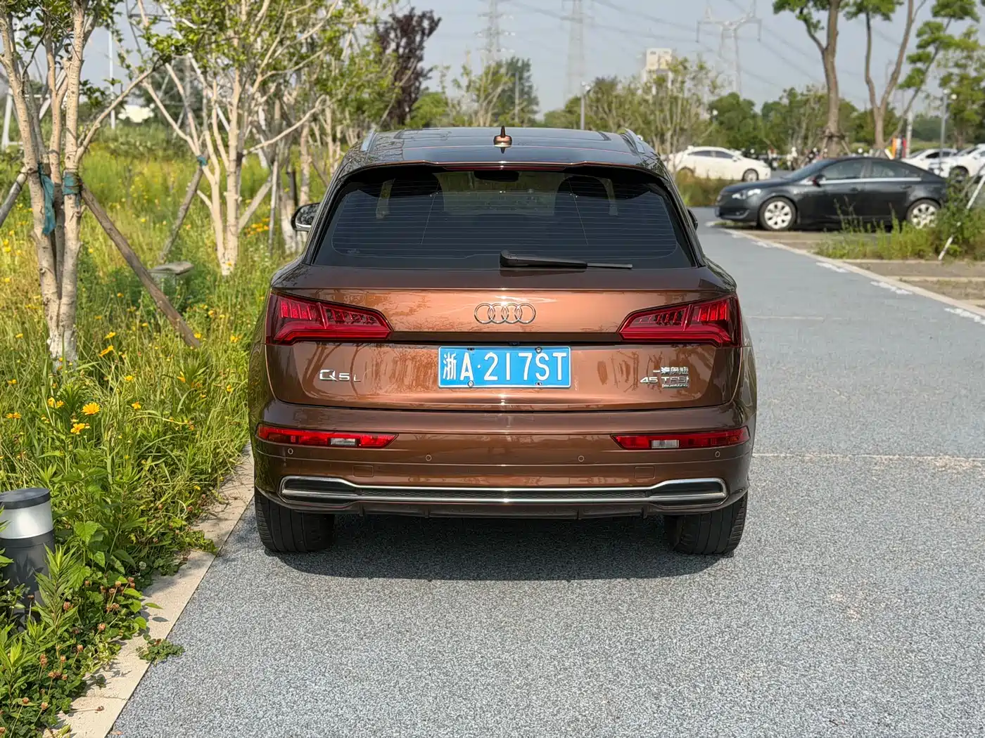 Audi Q5L 2018 45 TFSI Exclusive Fashion (China V) фото 3