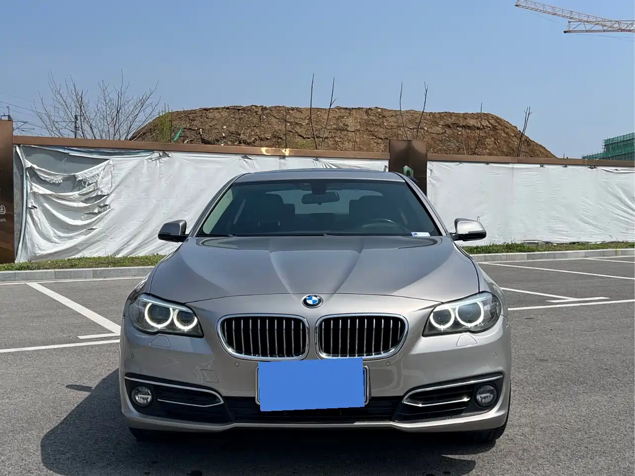 BMW 5 Series 2014 525Li Luxury Design Package фото 2