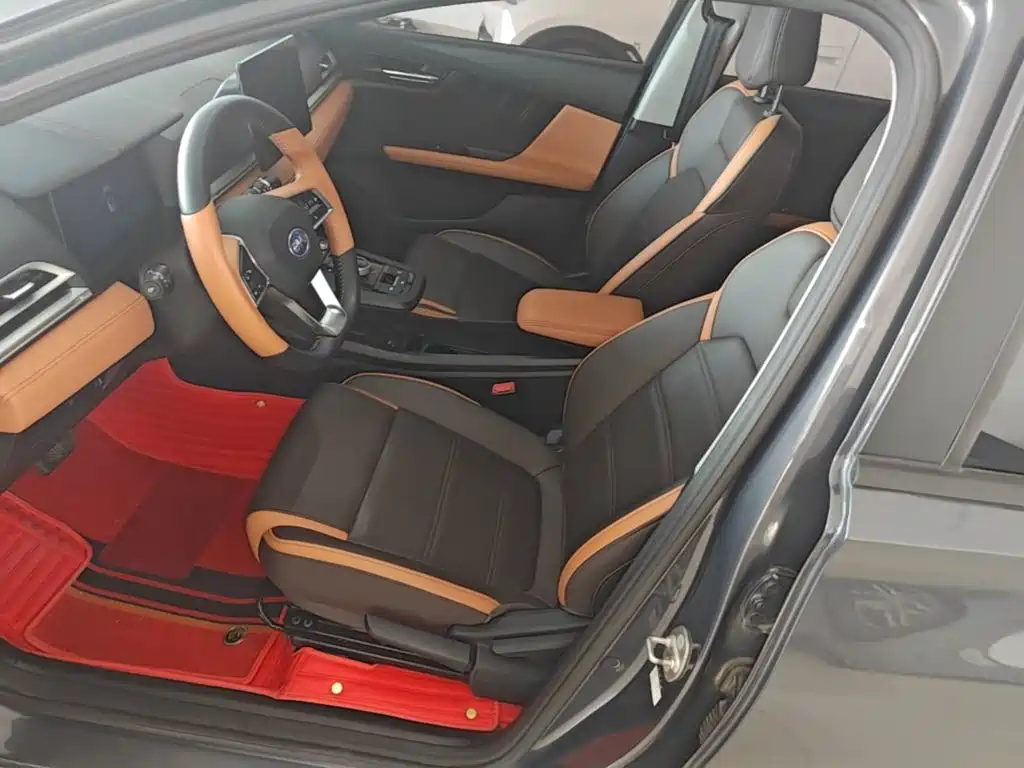 BYD e2 2021 2021 Luxury Edition