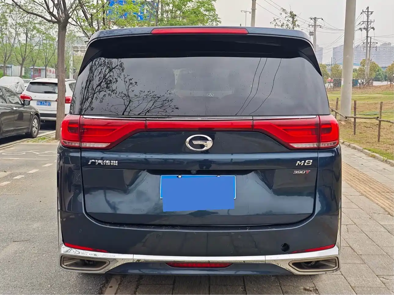 GAC Trumpchi Trumpchi M8 2021 Leading Show Series 390T Premium Edition фото 8