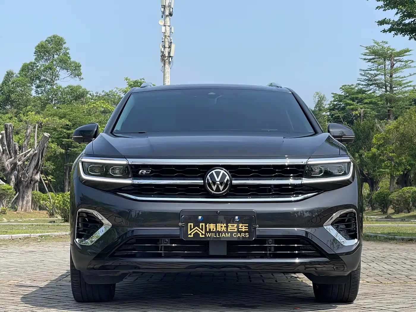 Volkswagen Talagon 2023 Facelift 530TSI 4WD Flagship Victory Pro Edition 6-Seater фото 2