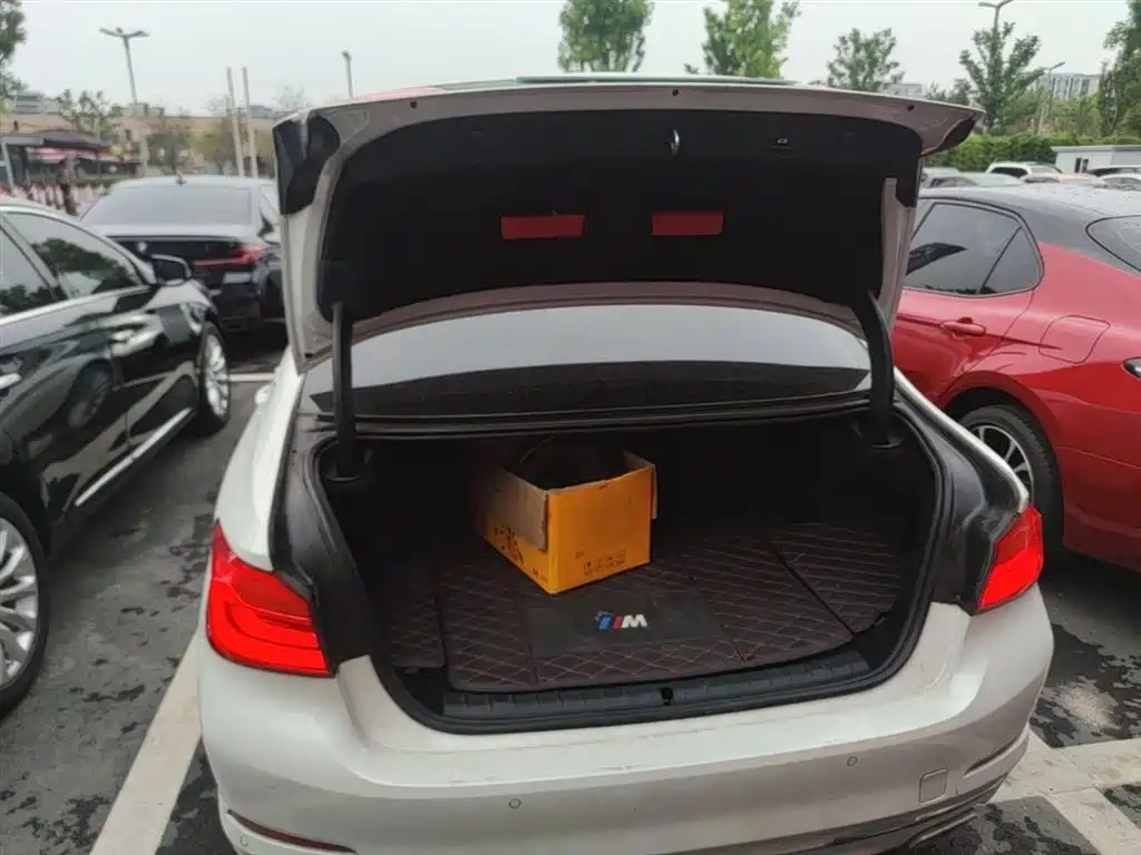 BMW 5 Series New Energy 2019 Facelift 530Le Luxury Package фото 19