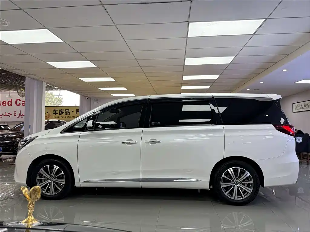 GAC Trumpchi Trumpchi M8 2018 320T Premium Edition фото 5