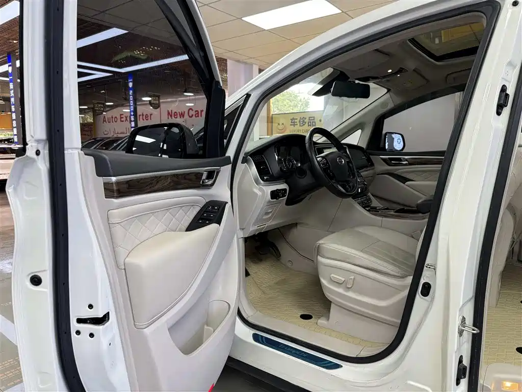 GAC Trumpchi Trumpchi M8 2018 320T Premium Edition фото 13