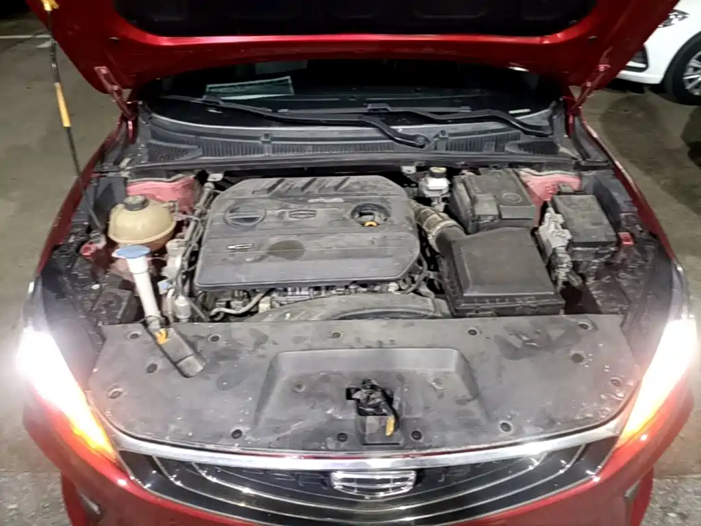 Фото 20 - Geely Binrui