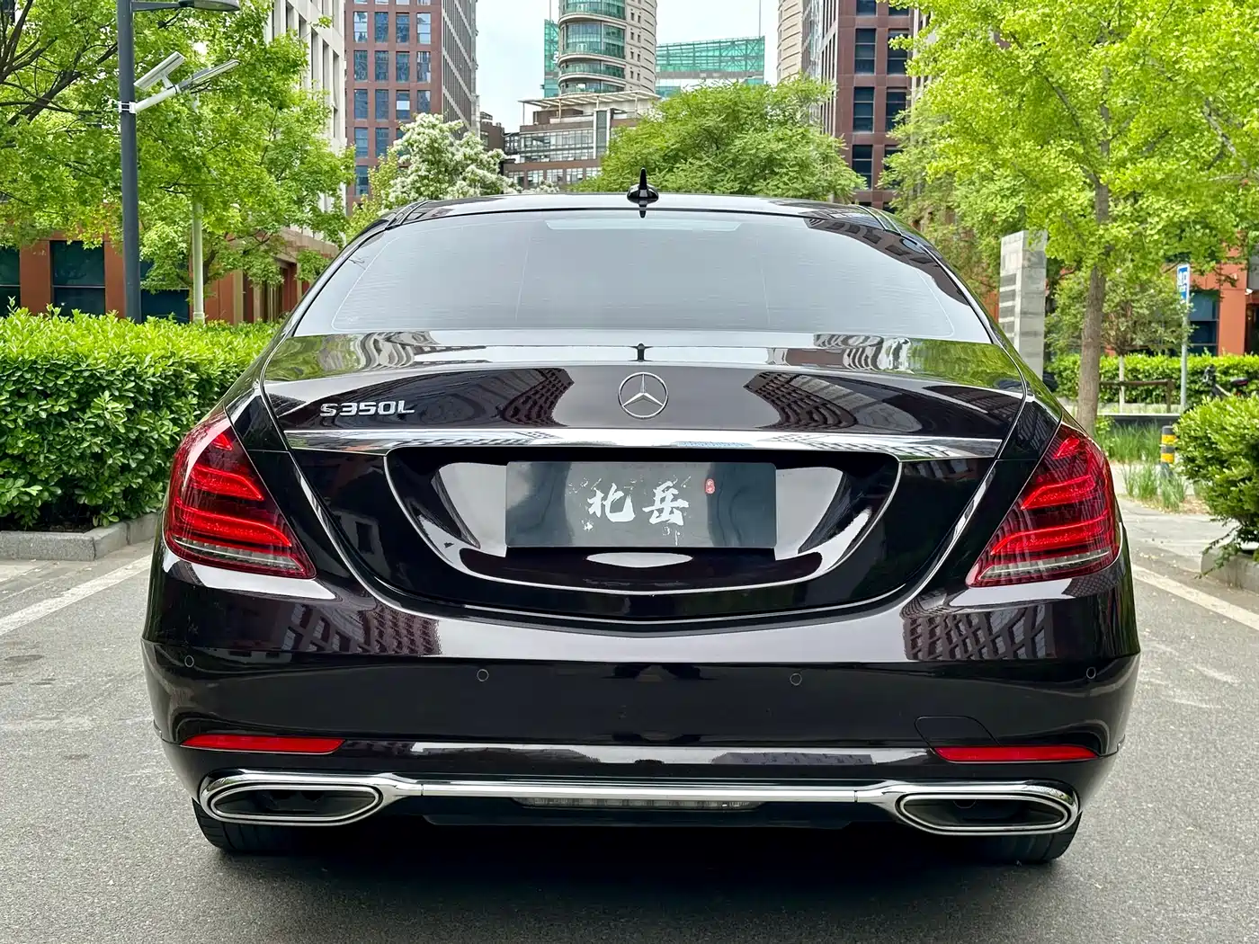 Mercedes-Benz S-Class 2019 S 320 L фото 5