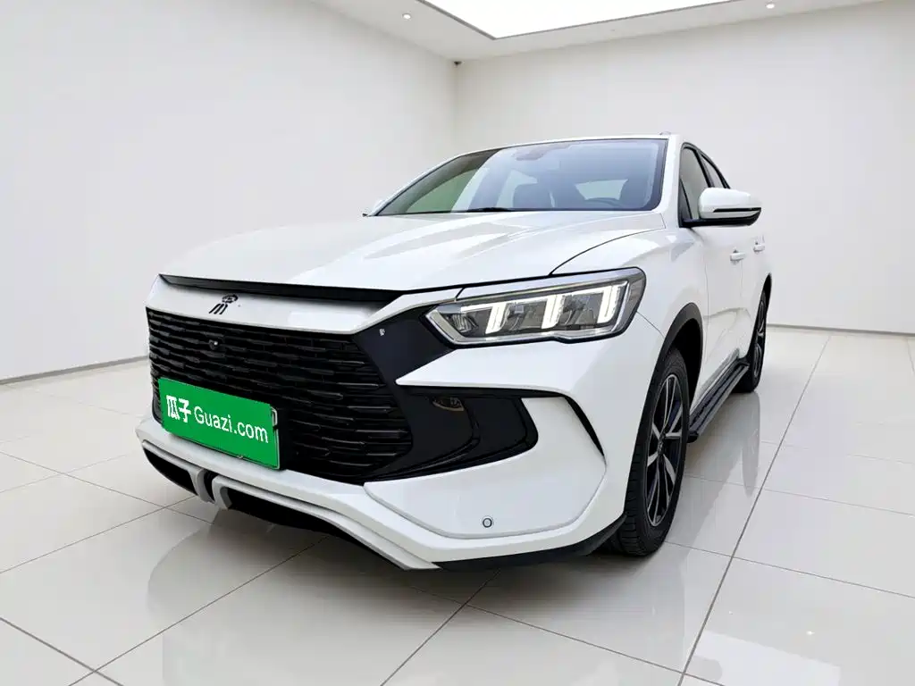 BYD Song Pro New Energy 2024 Glory Edition DM-i 71KM Pilot