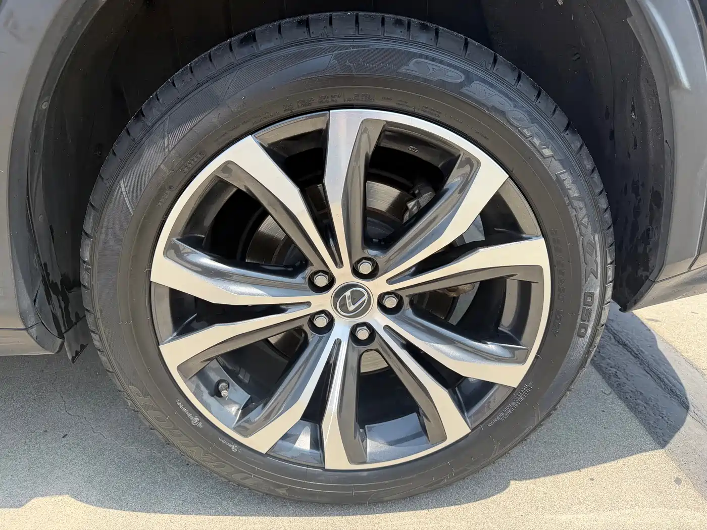 LEXUS RX