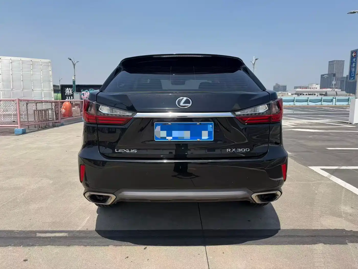 LEXUS RX