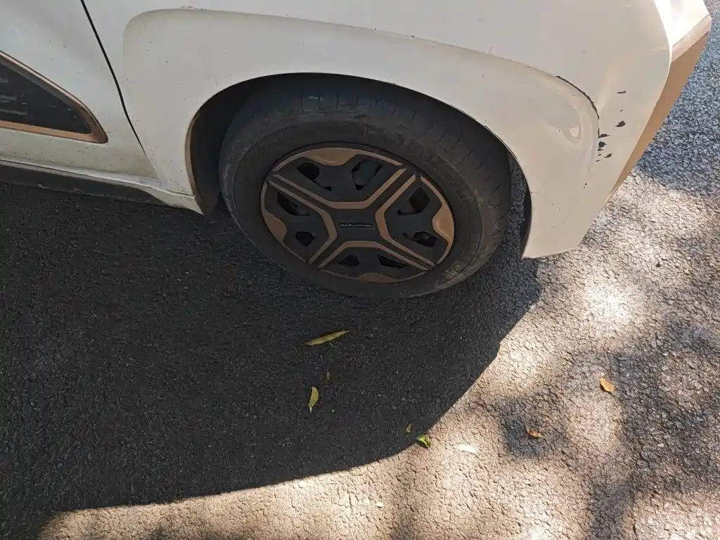 Baojun E200 2020 2020 305KM Smart Edition