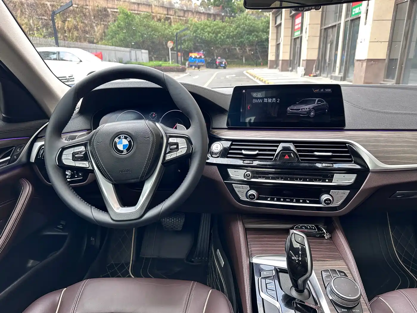 BMW 5 Series 2019 530Li Leading Luxury Package фото 14