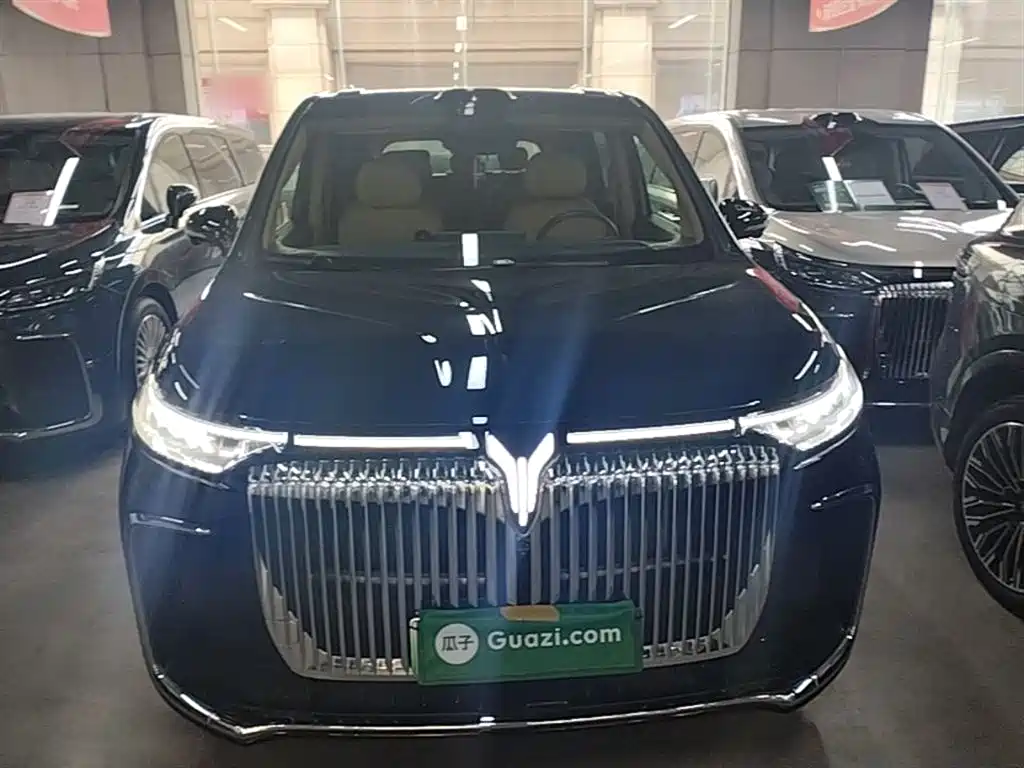 Voyah Auto Voyah Dreamer 2025 Model PHEV 4WD Premium QianKun Edition фото 3