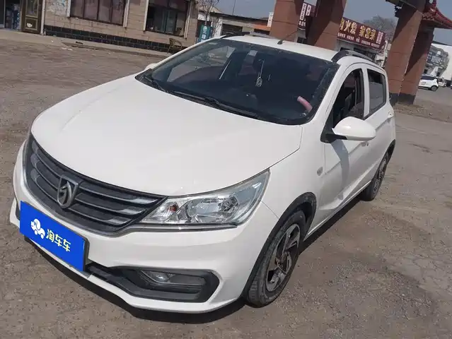 BAOJUN 310