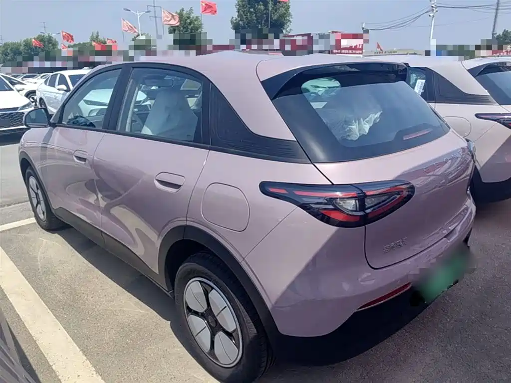 Geely Galaxy Starry Wish 2026 Edition 310km Youth Version фото 5