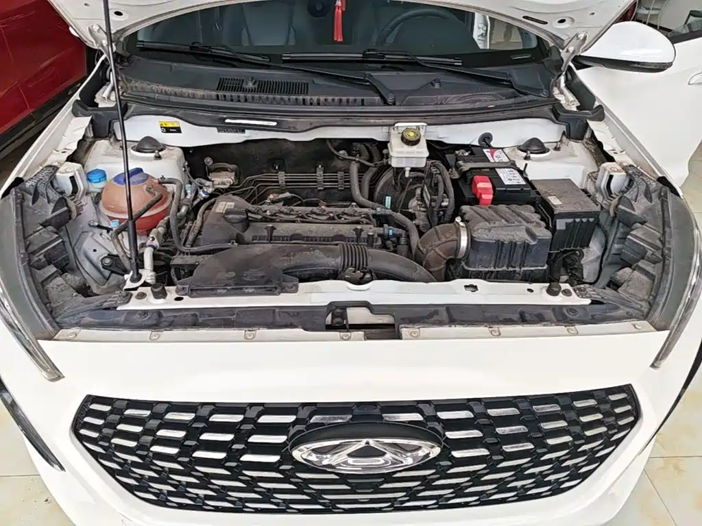 Chery Tiggo 3x 2020 2021 PLUS 1.5L CVT Refreshing Red Date Edition