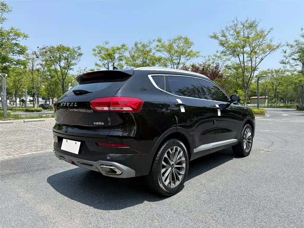 Haval H6 2020 1.5GDIT Automatic Platinum Champion Edition фото 15