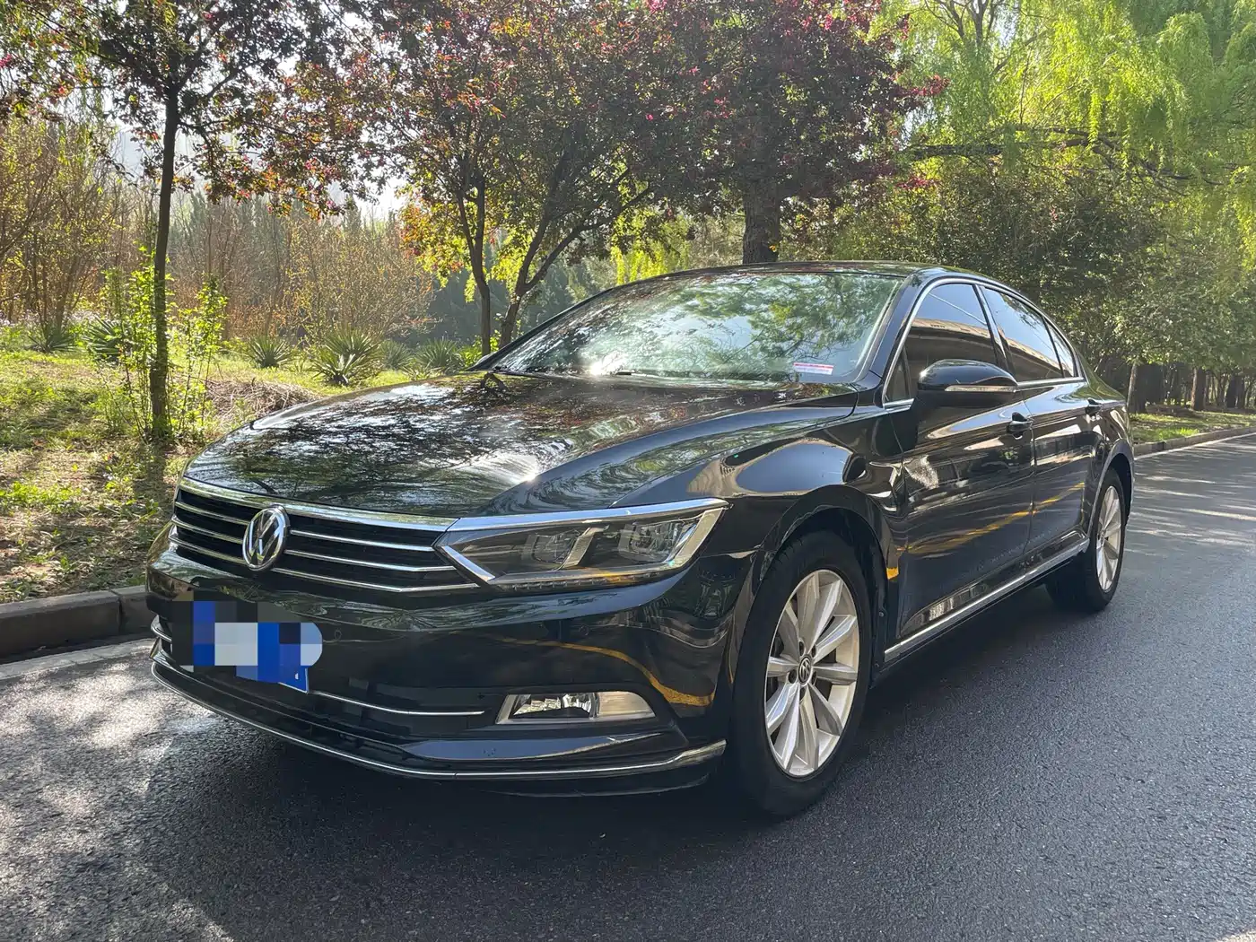 Volkswagen Magotan 2019 330TSI DSG Leading China VI