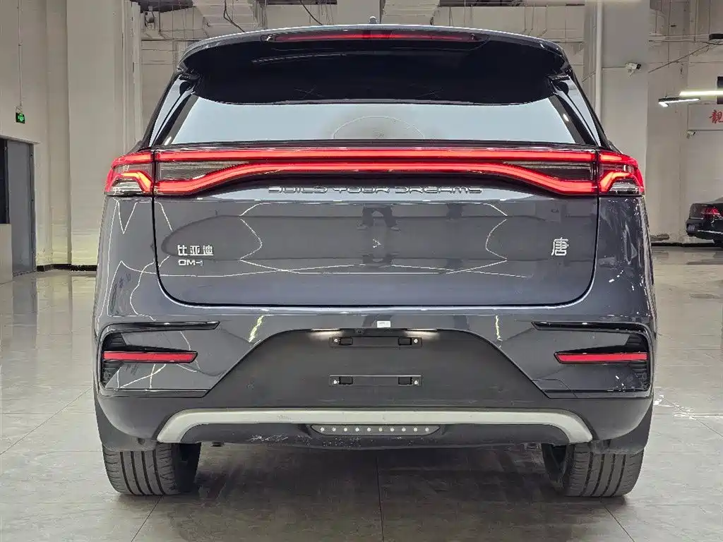 BYD Tang New Energy 2023 Model DM-i Champion Edition 112KM Deluxe фото 8