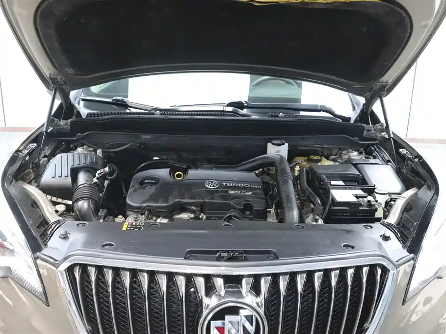 Buick Envision Plus 2017 20T 2WD Luxury фото 3