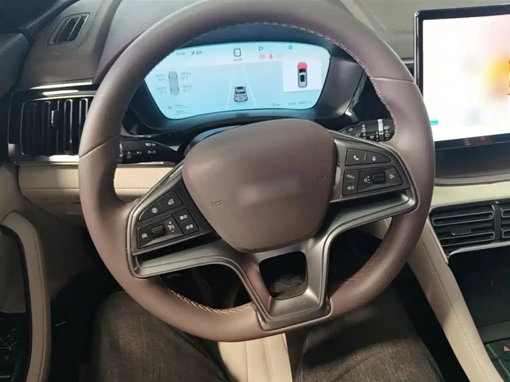 BYD Song PLUS PHEV 2025 DM-i 112KM Premium фото 11