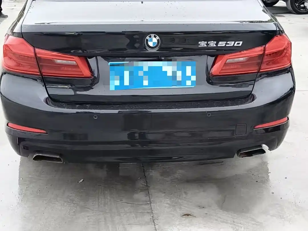 BMW 5 Series 2018 528Li Launch Special Edition фото 8