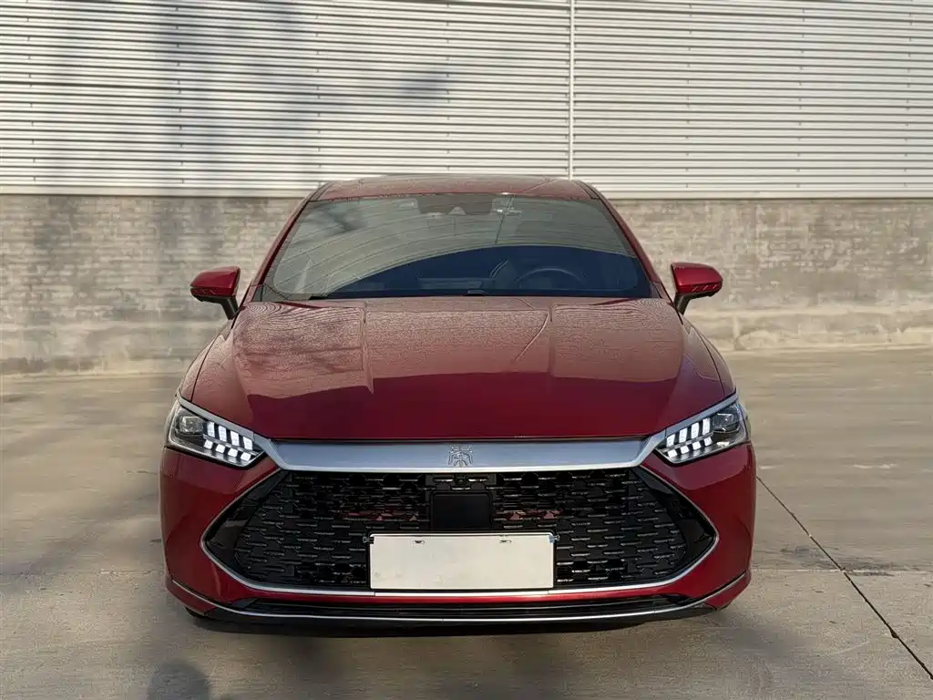 BYD Qin PLUS 2021 DM-i 120KM Flagship фото 2
