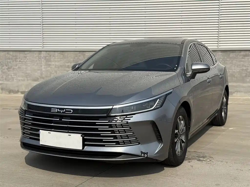 BYD Destroyer 05 2024 Glory Edition DM-i 55KM Luxury