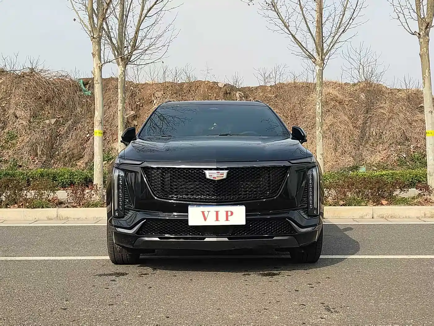 Cadillac XT5 2025 2.0T Luxury фото 2