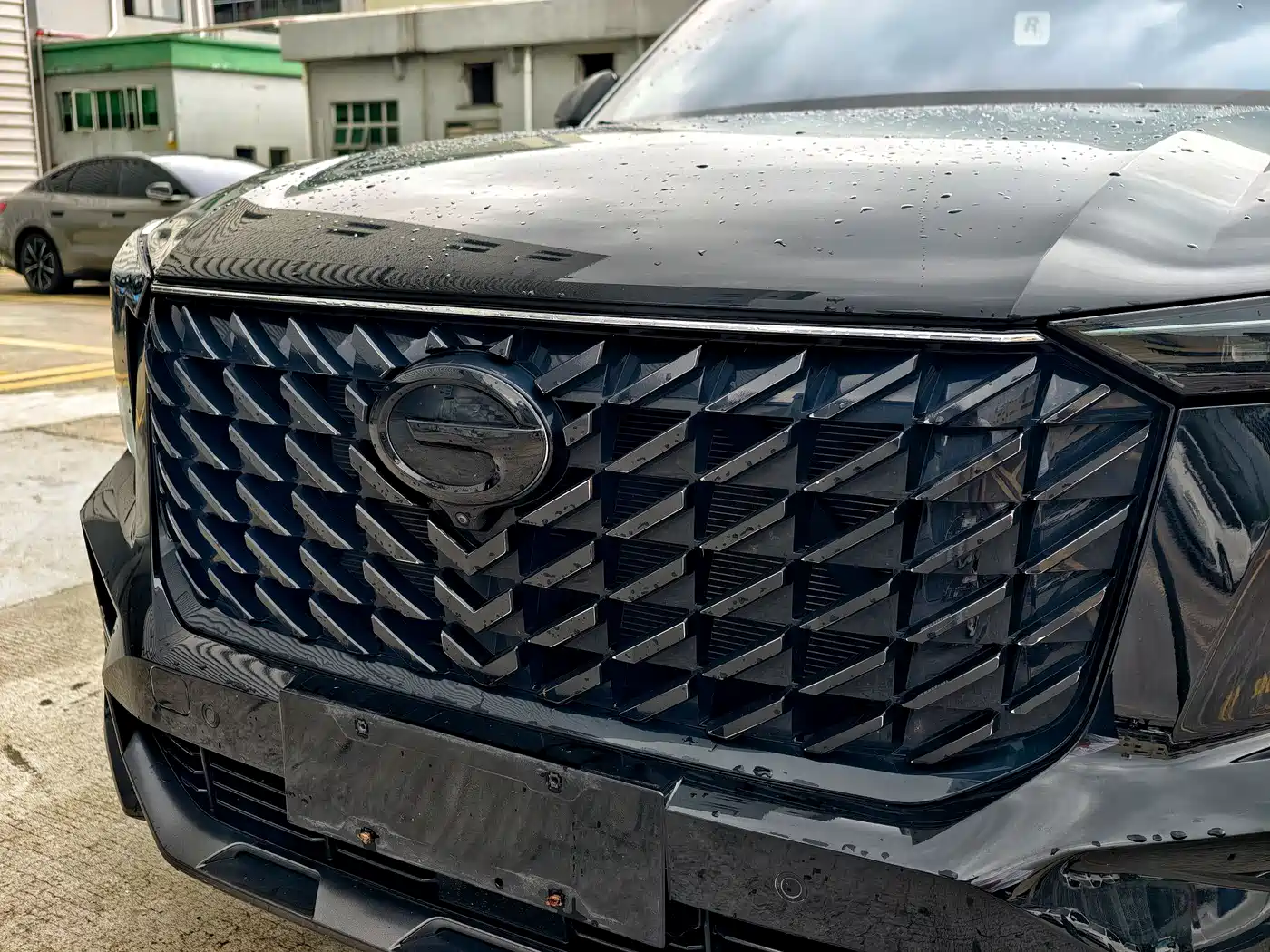 GAC Trumpchi Trumpchi GS8 2022 Pilot Series 2.0TGDI 2WD Premium Edition (7-Seater) фото 10