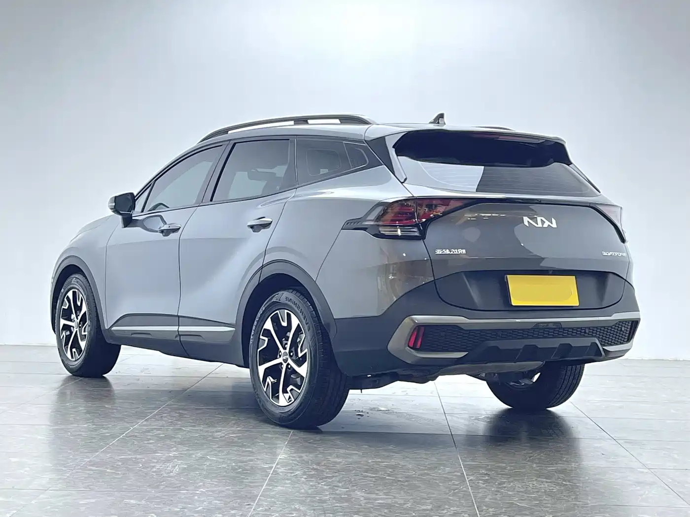 KIA LION PLATINUM EXPANDS THE WORLD