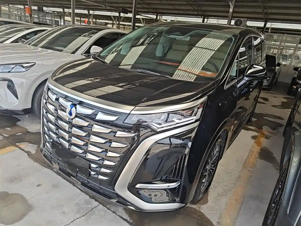 Denza D9 2024 DM-i 1050 Premium