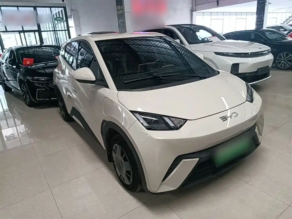 BYD Seagull 2024 Glory Edition 305km Vitality Edition фото 4