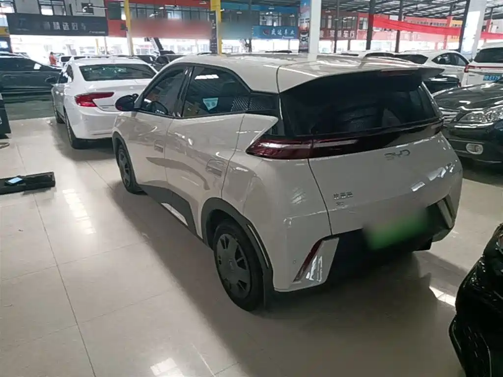 BYD Seagull 2024 Glory Edition 305km Vitality Edition фото 5