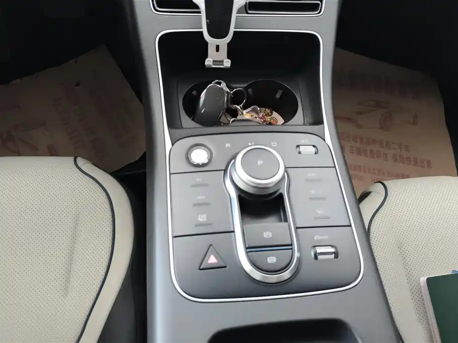 BYD Destroyer 05 2024 Glory Edition DM-i 55KM Luxury фото 16